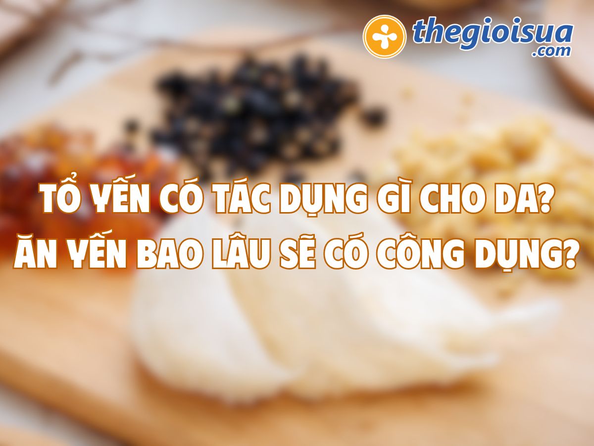 Tổ Yến Có Tác Dụng Gì Cho Da? Ăn Yến Bao Lâu Sẽ Có Công Dụng?