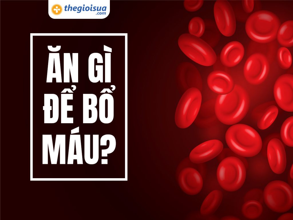 Ăn Gì Để Bổ Máu? 