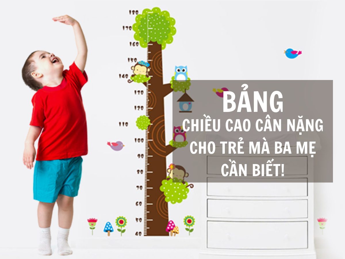 Bảng Chiều Cao Cân Nặng Của Trẻ Từ 0-10 Tuổi Mà Ba Mẹ Cần Biết