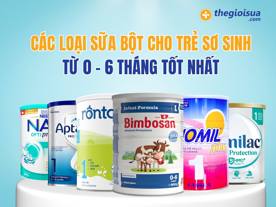 Các Loại Sữa Bột Cho Trẻ Sơ Sinh Từ 0 – 6 Tháng Tốt Nhất