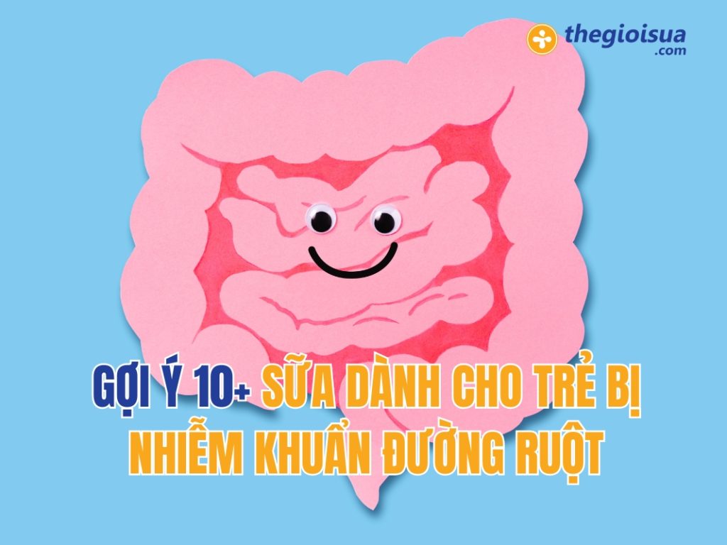 Gợi Ý 10+ Sữa Dành Cho Trẻ Bị Nhiễm Khuẩn Đường Ruột