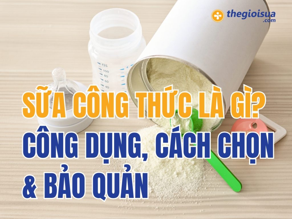 Sữa Công Thức Là Gì? Công Dụng, Cách Chọn & Bảo Quản