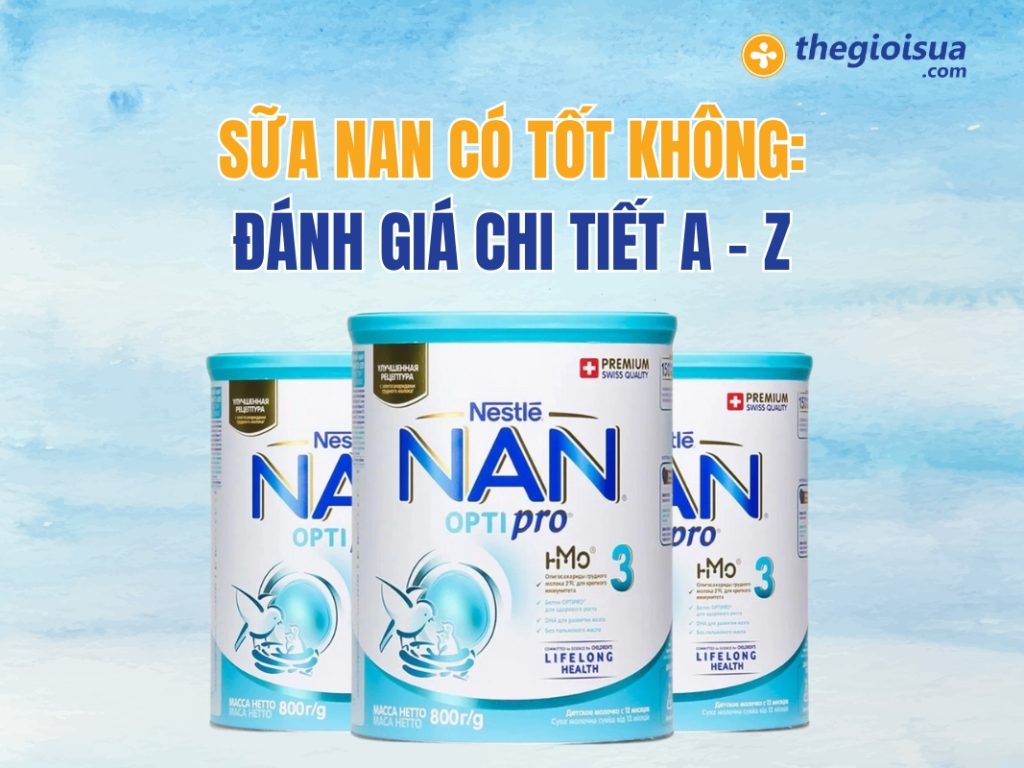Sữa Nan Có Tốt Không: Đánh Giá Chi Tiết A – Z