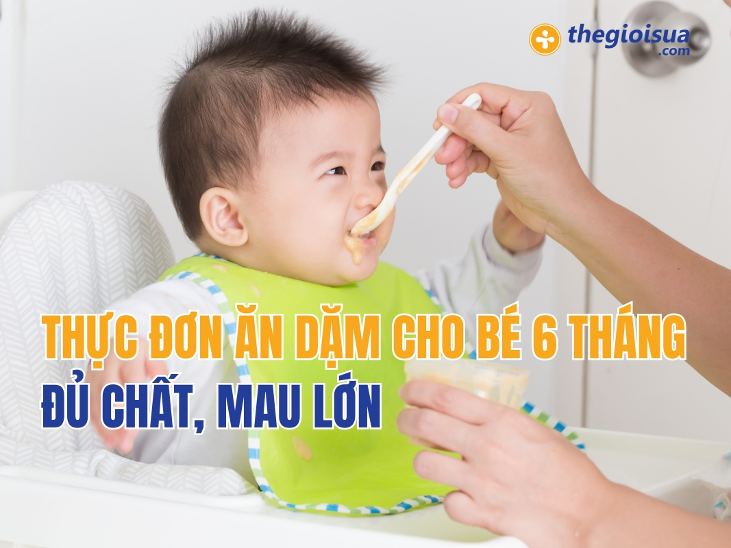 Thực Đơn Ăn Dặm Cho Bé 6 Tháng Đủ Chất, Mau Lớn