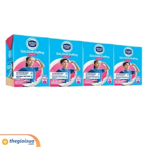 Sữa tươi tiệt trùng Dutch Lady Dâu 110ml