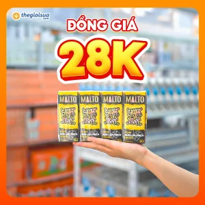 Sữa Socola lúa mạch Lof Malto hộp 180ml x48
