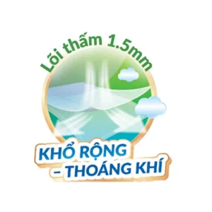 Tấm đệm lót Caryn XL14